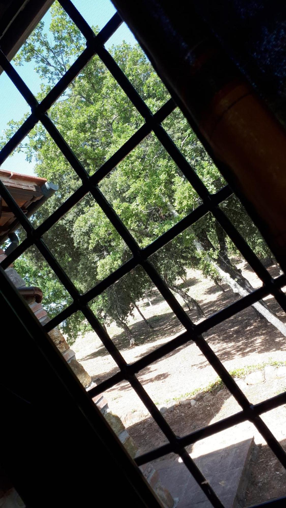 Agriturismo Podere San Lorenzo 1866 Massa Marittima Εξωτερικό φωτογραφία