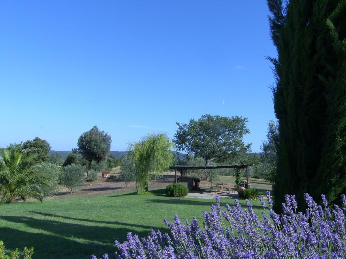 Agriturismo Podere San Lorenzo 1866 Massa Marittima Εξωτερικό φωτογραφία